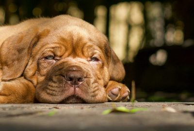 pexels-marcelo-gonzalez-1141370437-32329252